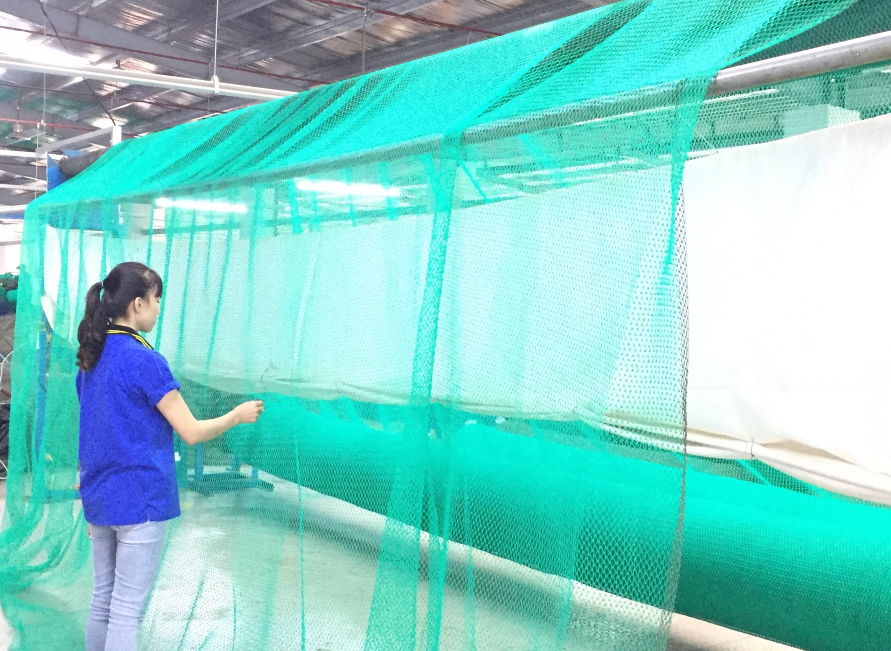 Manufacturing process of netting